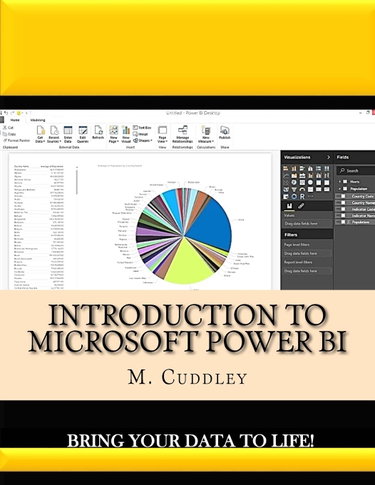 Couverture de Introduction To Microsoft Power BI: Bring Your Data To Life!