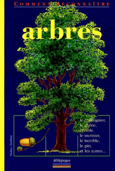 Les arbres : feuillus et conifères
