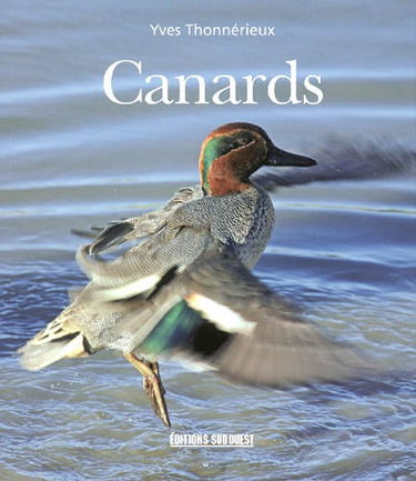 Canards