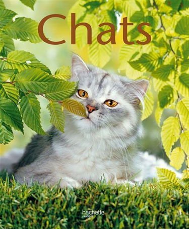 Chats