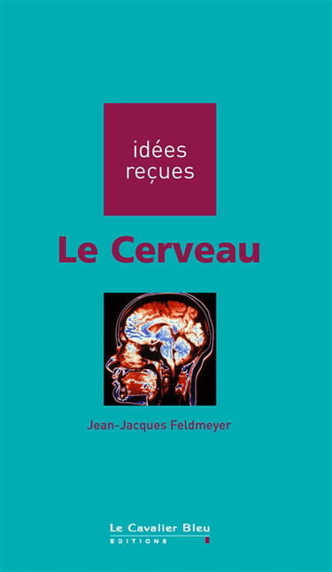 Le cerveau