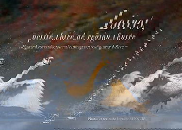 Loiret, petite Loire de région Centre