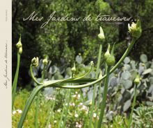 Jardins de Traverses : la passion des jardins méditerranéens et l’histoire des établissements Derbez.