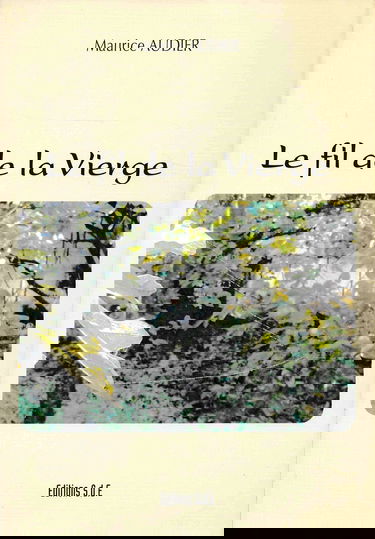 Le fil de la Vierge