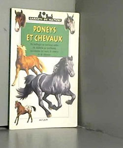 Poneys et chevaux