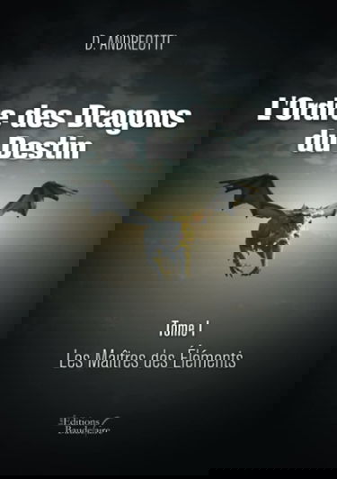 L'Ordre des Dragons du Destin - Tome I : Les Maîtres des Eléments