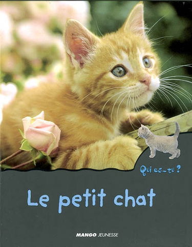 Le petit chat