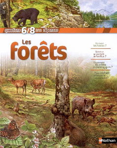Les forêts