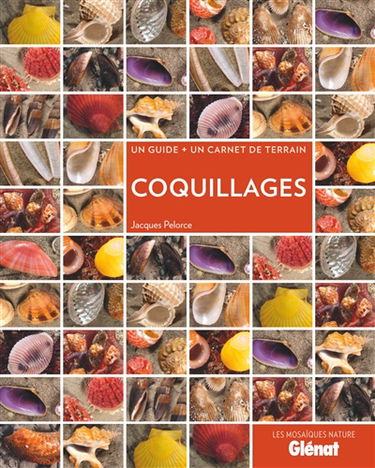 Coquillages : un guide + un carnet de terrain