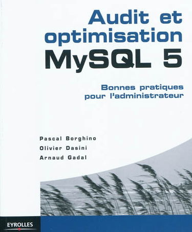Audit et optimisation MySQL 5 : bonnes pratiques pour l'administrateur