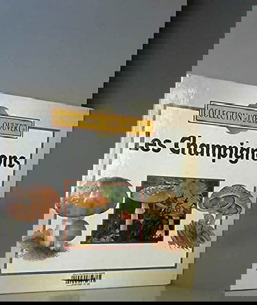Les champignons