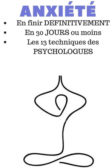 ANXIÉTÉ: EN FINIR DÉFINITIVEMENT, EN 30 JOURS: les 13 techniques PROUVÉES SCIENTIFIQUEMENT pour en finir à VIE. Édition mise à jour.