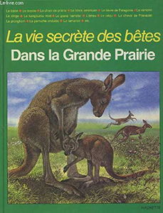Dans la grande prairie