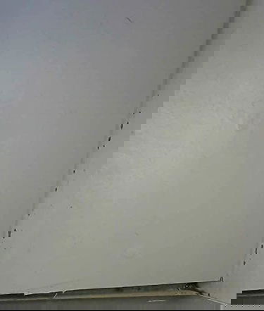 ADN, amour, destinée, nostalgie