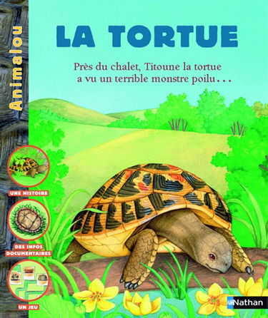 La tortue