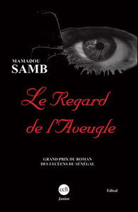 Le regard de l'aveugle