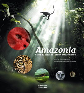 Amazonia : la vie au coeur de la forêt amazonienne
