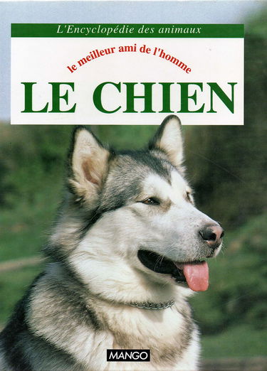 Le Chien : le meilleur ami de l'homme