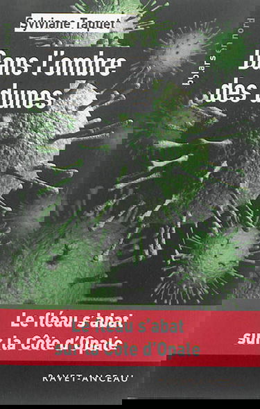 Dans l'ombre des dunes