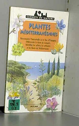Plantes méditerranéennes