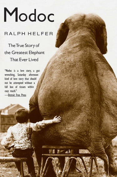 Couverture de Modoc: The True Story of the Greatest Elephant That Ever Lived