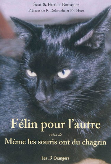 Félin pour l'autre. Même les souris ont du chagrin !