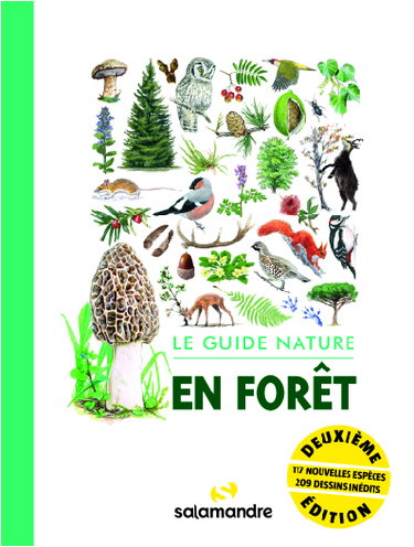 Couverture de En forêt : le guide nature par Alessandro Staehli