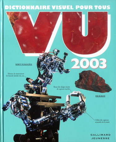 Vu 2003 : Dictionnaire visuel pour tous