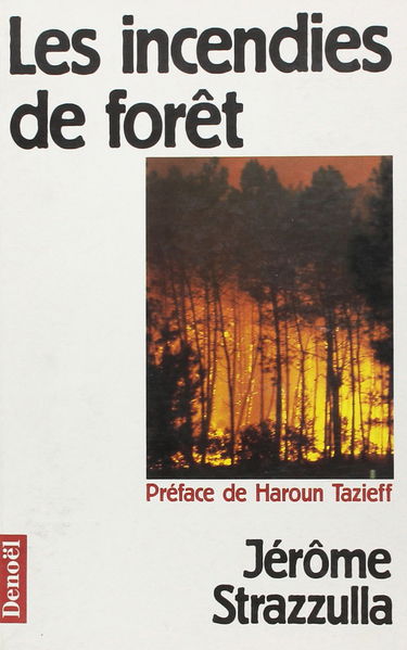 Les Incendies de forêt