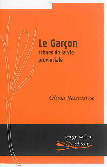 Le garçon : scènes de la vie provinciale