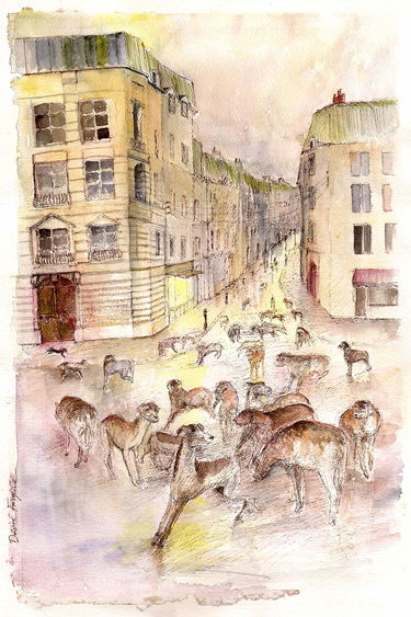 Le chagrin et l'oiseau perdu