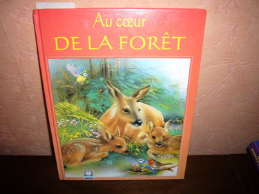 Au Coeur de la Foret