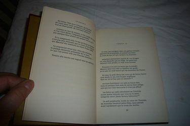 La divine comédie II. Purgatoire