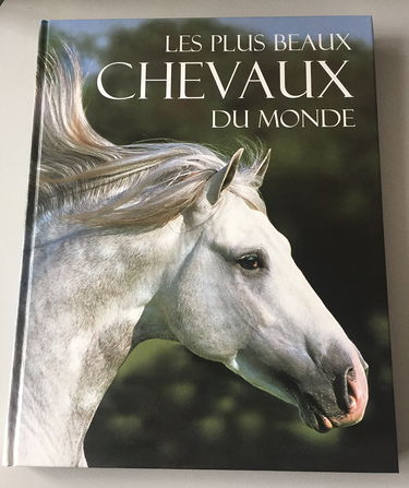 Les plus beaux chevaux du monde