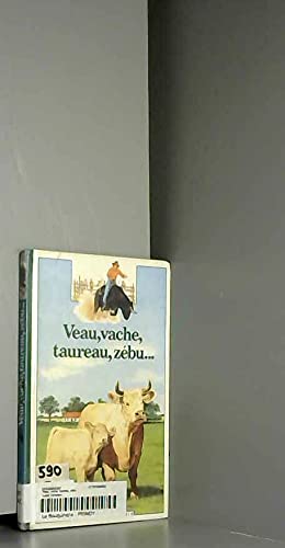 Veau, vache, taureau, zébu...