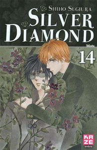 Silver Diamond. Vol. 14. Mots