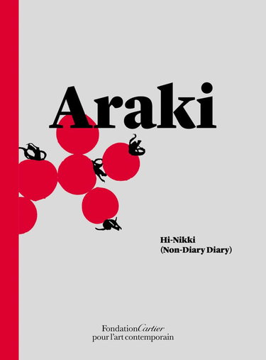 Couverture de Hi-Nikki: Non-Diary Diary