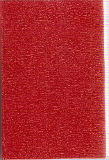 Le bal des maudits / roman