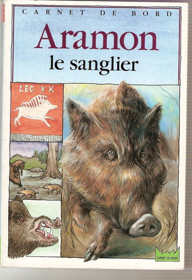 Aramon le sanglier
