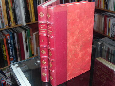 Notre-Dame de Paris (tomes 1 et 2)