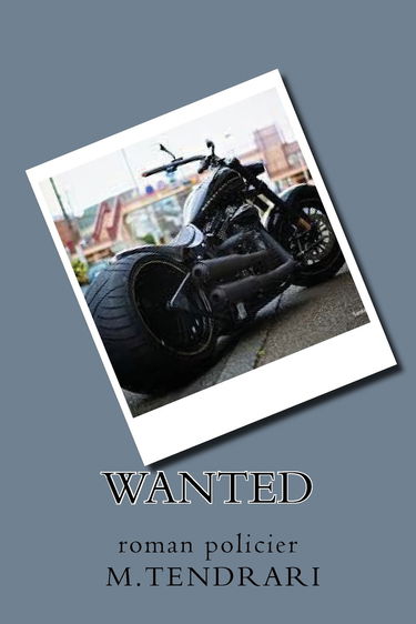 wanted: roman policier