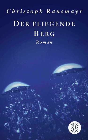 Couverture de Der fliegende Berg