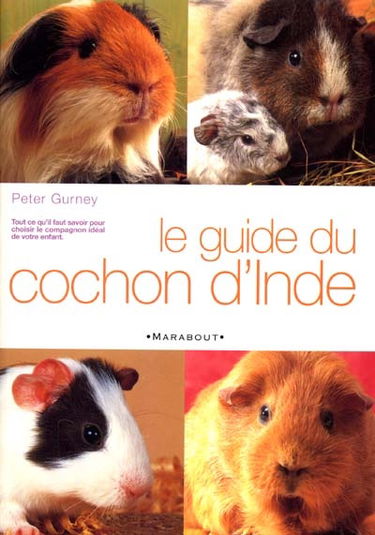 Le guide du cochon d'Inde
