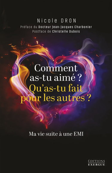 Couverture de Comment as-tu aimé ? Qu'as-tu fait pour les autres ? : ma vie suite à une EMI