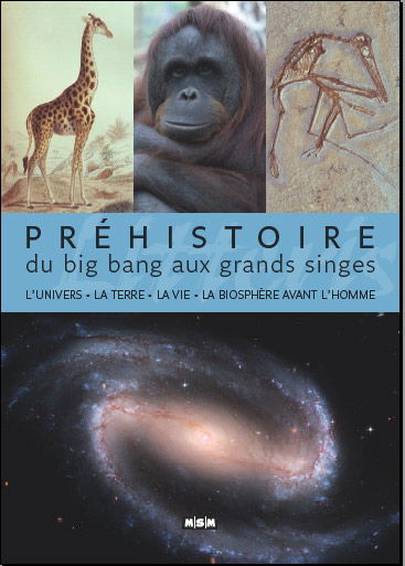 Préhistoire. Du big bang aux grands singes : l'Univers, la Terre, la vie, la biosphère avant l'homme