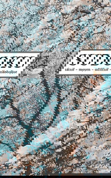 SuDoKu adulte: Niveau: facile - moyen - difficile - diabolique | Format poche | 192 grilles | Jeu de logique relaxant & educatif | Enigmes et casse-tête adulte