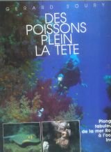 Des Poissons plein la tête
