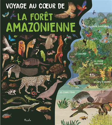 Voyage au coeur de la forêt amazonienne