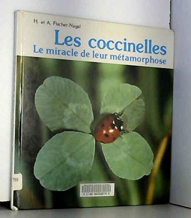 Les Coccinelles : le miracle de leur métamorphose