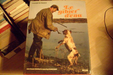 La Chasse au gibier d'eau